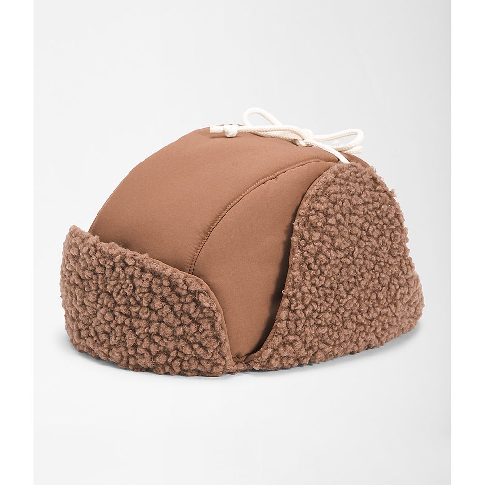 The North Face Beanies Womens Australia - The North Face Recycled Ridge Fleece Trapper Brown (SUY-89